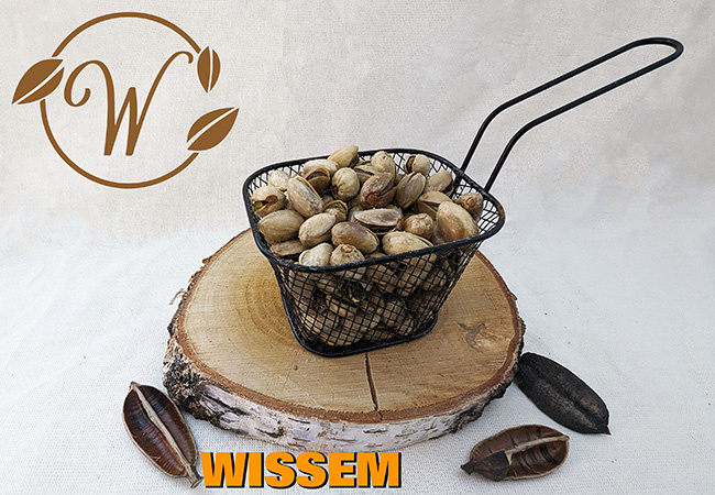 notenshop_wissem-pistachnoten-gebrand-gezout